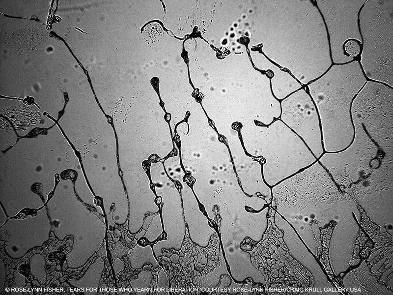 diseño, premiere vision, tendencia, inspiración, moda, textil, tejido, estimación, print