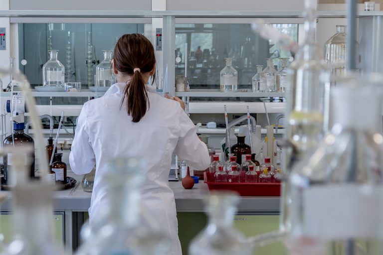 Öko-Tex, sustancias GMO, sustancias modificadas genéticamente, algodón orgánico