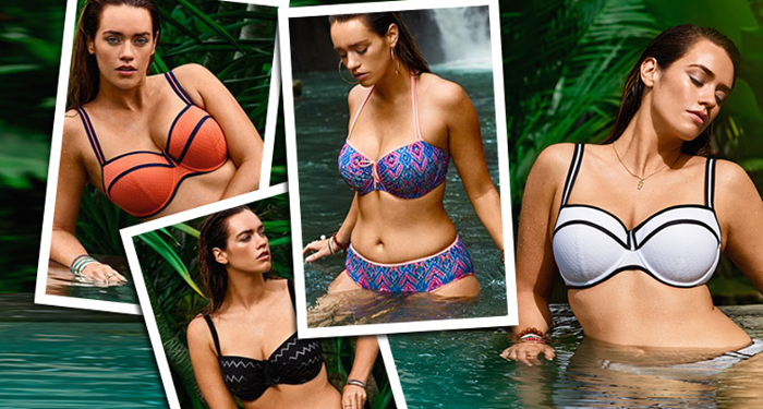 European Lingerie Group, Dessus-Dessous, lencería de lujo, trajes de baño, ELG, ropa interior, Baiba Birzniece, Christine Stessels, mercado francés de lencería online, eCommerce, Lise Charmel, Simone Pérèle, Felina ,Conturelle