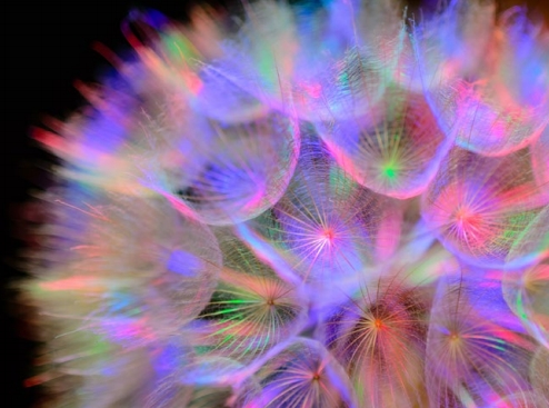 ISPO, tendencias 2019, salones de material deportivo, Feria de Munich