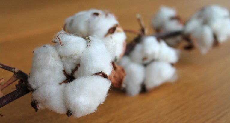Textiles Intelligence, textil/moda, mercados intenacionales, Asos