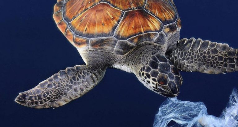 Seaqual, Première Vision, plástico marino, sostenibilidad textil