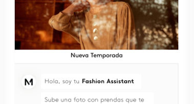 Fashion Assistant