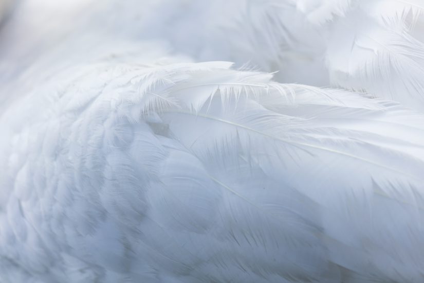 Estos plumas de Ecoalf están en rebajas y son una perfecta compra de  invierno para toda la vida