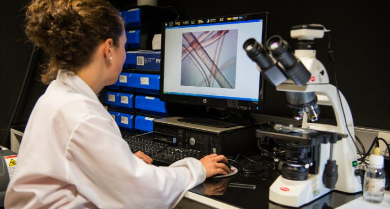 Estándar de algodón orgánico, Vegan Test, Moda sostenible, compañía biotecnológica, autenticidad del algodón orgánico, AMSlab, biotech, algodón orgánico,