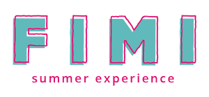 FIMI Summer Experience