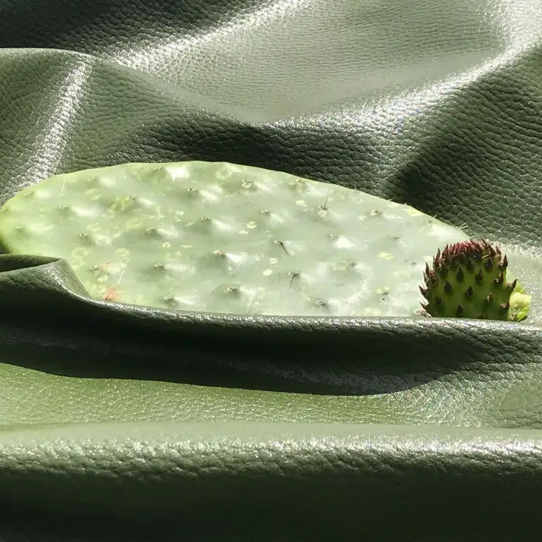 Piel de cactus, Desserto, Adriano di Marti, pieles veganas