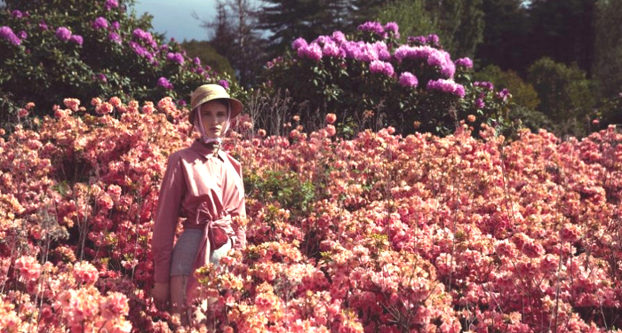 Blossom Première Vision