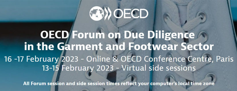 OCDE, Foro OCDE, Due Diligence