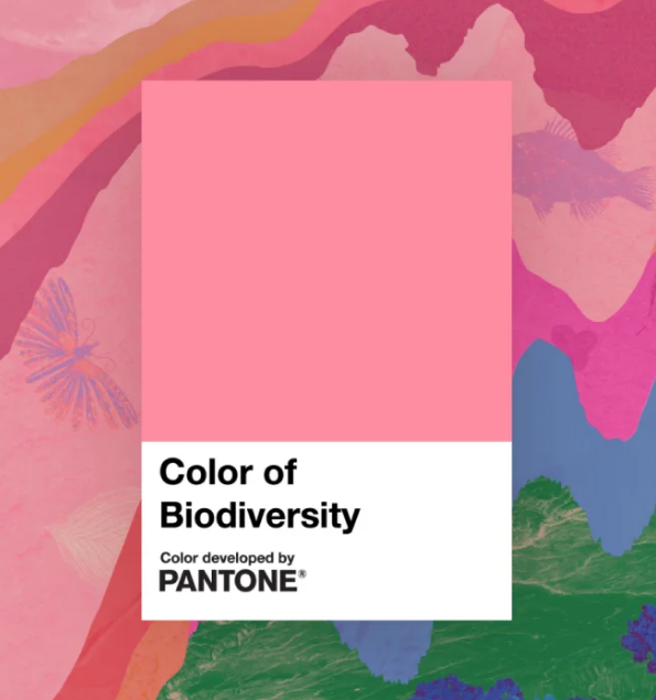 Día Internacional de la Diversidad Biológica, Pantone, Rosa Biodiversidad