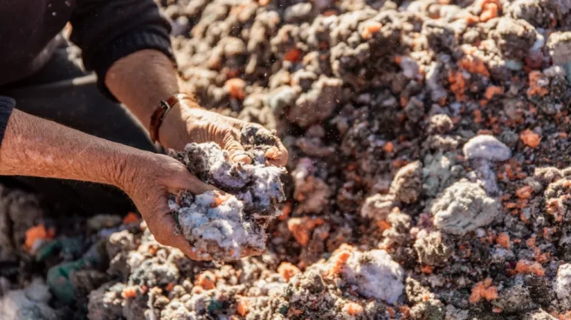 Cotton Australia, circularidad textil, algodón