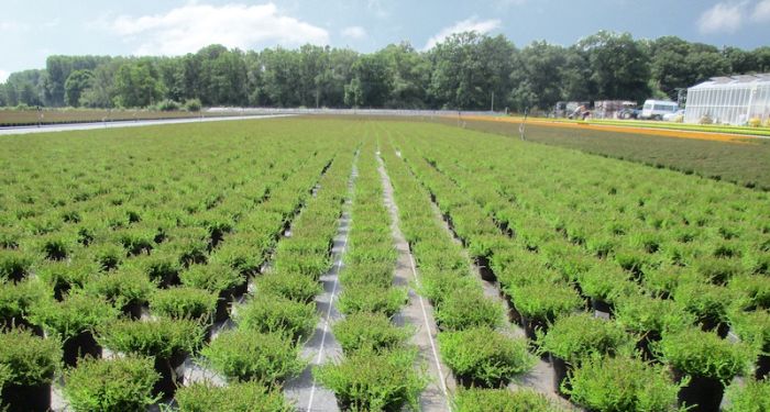 Beaulieu Technical Textiles, Beaulieu, textiles técnicos agrícolas, Recover Pro