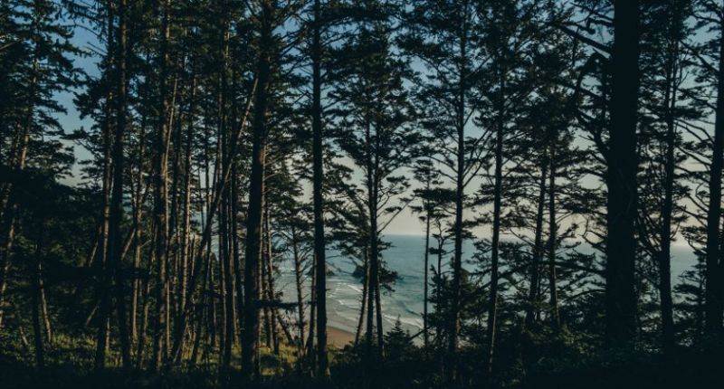 Unión Europea, Responsabilidad Ampliada del Productor, Pasaporte Digital de Productos, Política Ambiental de Producto, Debida Diligencia en Sostenibilidad, Reglamento sobre Trabajo Forzoso, sostenibilidad 2025