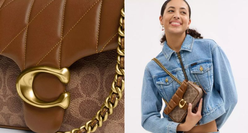 Índice Lyst, cuarto trimestre de 2024, marcas más populares, productos más populares, Coach