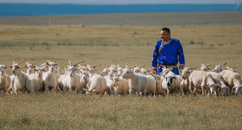 Cachemira, The Good Cashmere, The Good Cashmere Standard
