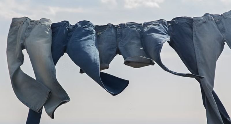 Les Mains Bleues, Trend Engine+, Li & Fung