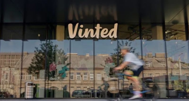 Vinted cuenta con su plataforma homónima, además de su divisón logística Vinted Go y su división de pagos, Vinted Pay.