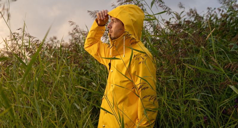 Química textil, PFAS, eliminación de los PFAS, químicos permanentes, Universidad Rice, revista Advanced Materials