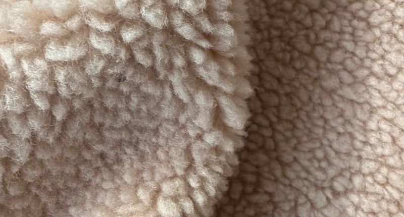 BioFur desarrolla materiales similares a las pieles sin componentes animales ni derivados del petróleo.