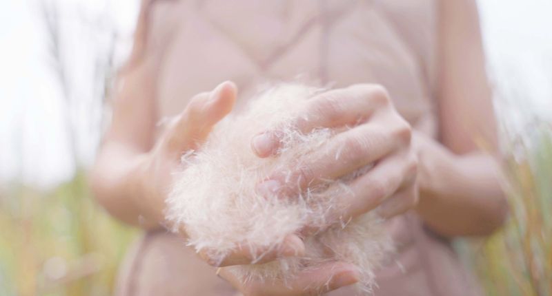 Berghaus explora la moda técnica sostenible con BioPuff, de Ponda