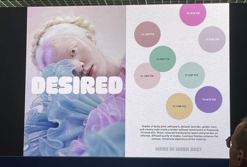 Tendencia Desired en MarediModa