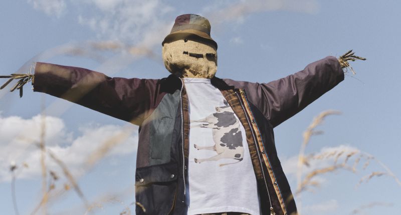 Paul Smith loves Barbour.