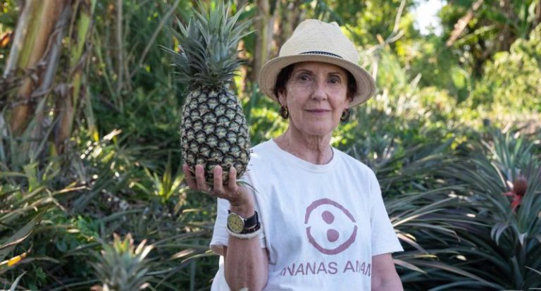 Claves de la insolvencia de Ananas Anam, creadora de Piñatex
