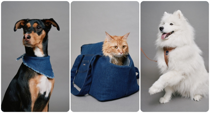 Salsa Jeans lanza su primera colección Pet 'Best Friends Fur-Ever' esta Navidad