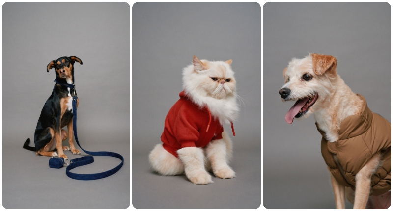 Salsa Jeans lanza su primera colección Pet 'Best Friends Fur-Ever' esta Navidad