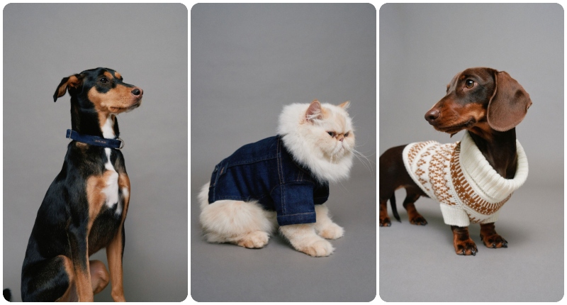 Salsa Jeans lanza su primera colección Pet 'Best Friends Fur-Ever' esta Navidad