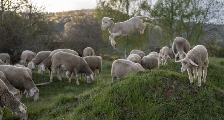 45 marcas de moda sostenible para vestir esta Navidad