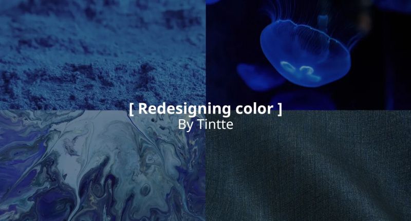 Tintte Trailblazer 2026