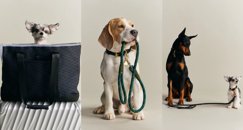Para perros pequeños, presentan un transportín de tela con el monograma de Kith.