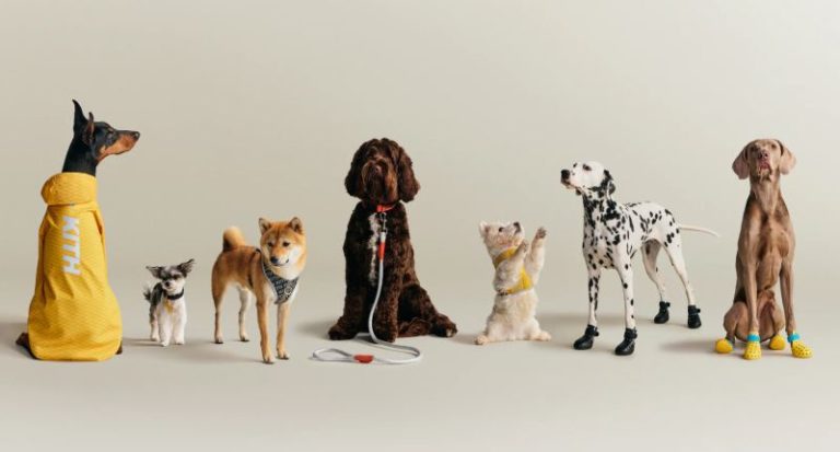 Kith New York lanza su primera colección de moda para perros con Wagwear
