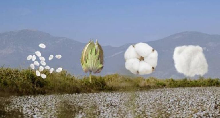 Innovación y trazabilidad en Organic Cotton Summit, en junio en Estambul
