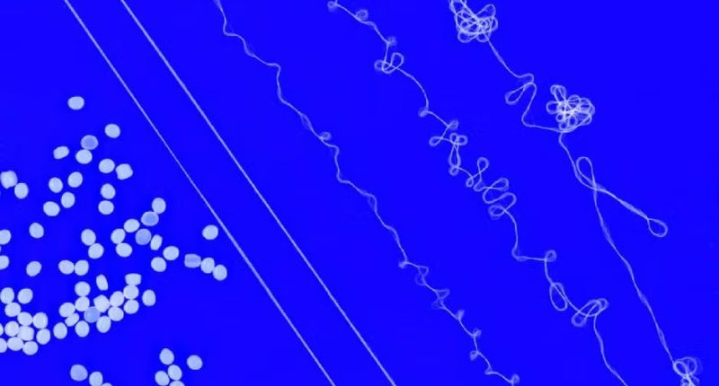 Estructura molecular del nuevo hilo elástico creado en el MIT.