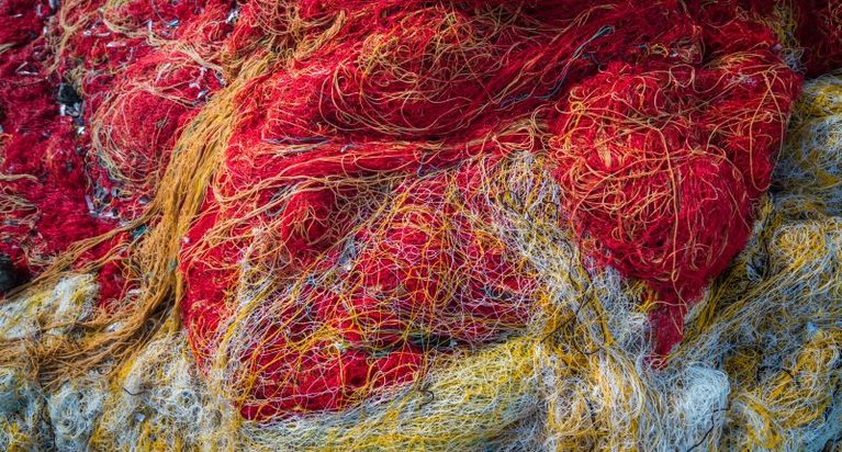 Earth Action da cifras sobre la contaminación por microfibras de la industria textil