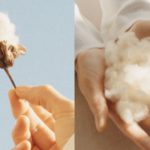Arket (H&M) incorpora a su catálogo el algodón hidropónico de la española Magtech