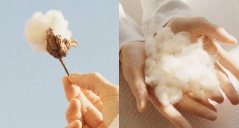Arket (H&M) incorpora a su catálogo el algodón hidropónico de la española Magtech