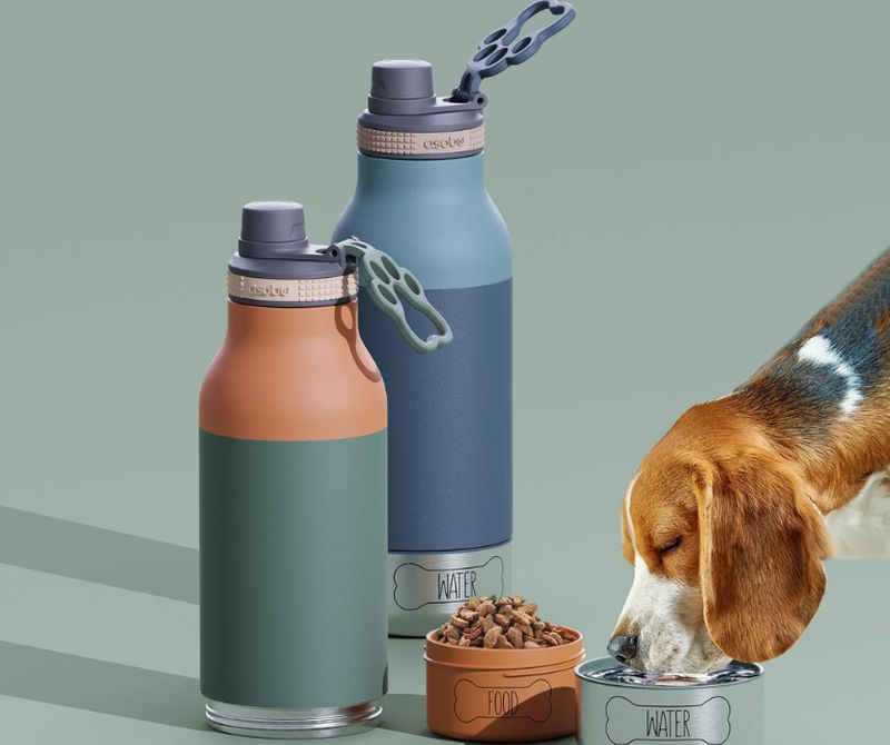 BKS+FIMI Valencia diversifica todavía más su oferta y da entrada al universo mascota