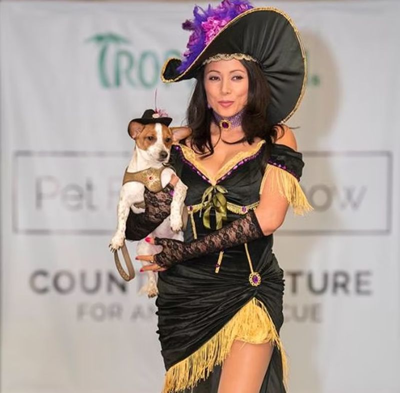 New York Pet Fashion Show, anteriores ediciones.